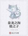 盤龍之海德之子