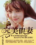 完美假妻