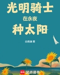 光明騎士在永夜種太陽