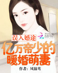 誤入婚途：億萬帝少的暖婚萌妻