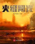 夾縫陽光